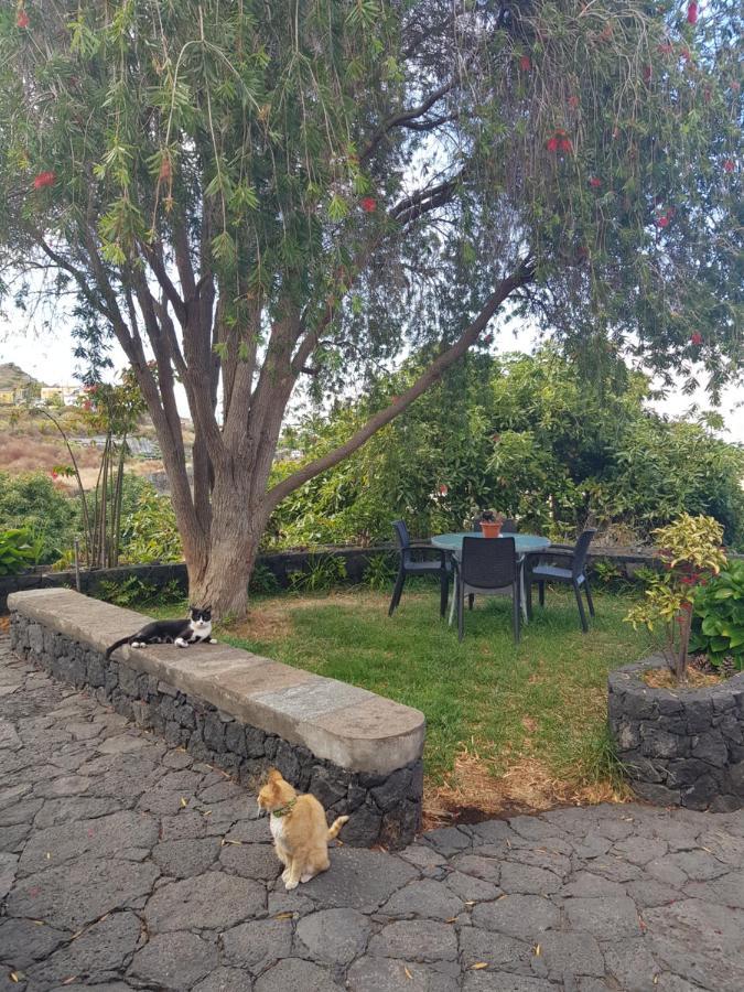 Corral De Payo Grande Guest House Brena Baja Exterior photo